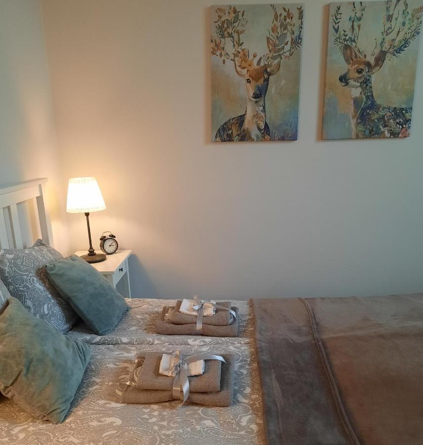Apartamenty Bydgostia Bydgoszcz Dış mekan fotoğraf