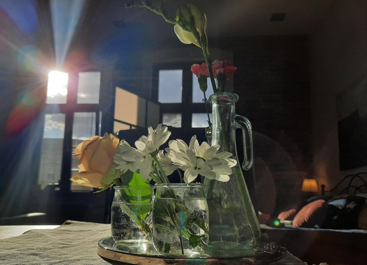 Apartamenty Bydgostia Bydgoszcz Dış mekan fotoğraf