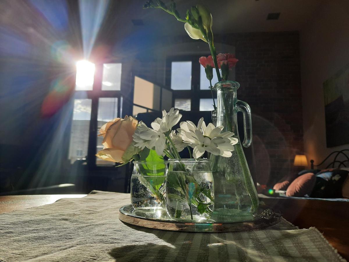 Apartamenty Bydgostia Bydgoszcz Dış mekan fotoğraf